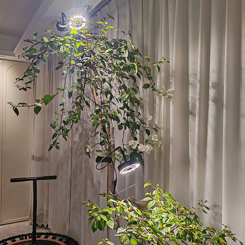 Grow Lights vs. Regular LEDs: What's the Real Difference?