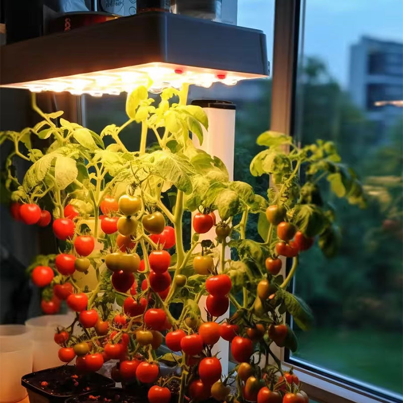 How to Grow a Never-Ending Supply of Cherry Tomatoes