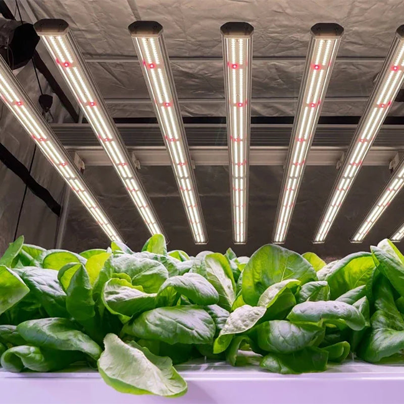 Grow Light 101: Understanding PPFD and Spectrum for Happy Houseplants