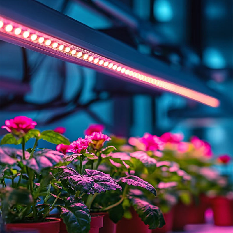 Space-Saving Vertical Farming with LED Grow Light Bars