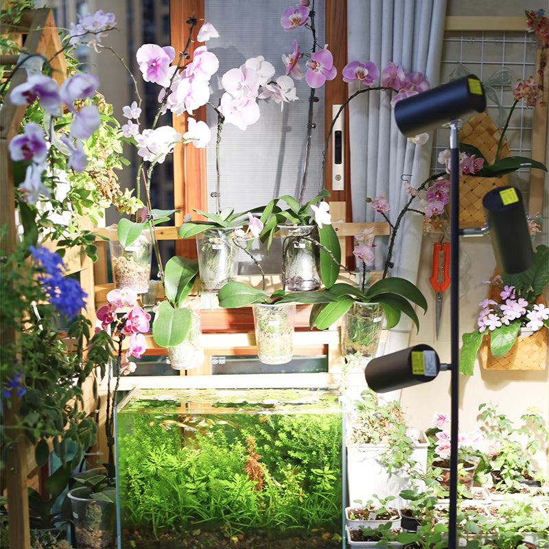 The Ultimate Grow Light for Orchids and Flowering Plants