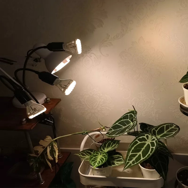 Grow Light Mastery: How to Choose the Best Lights for Each Plant Growth Stage