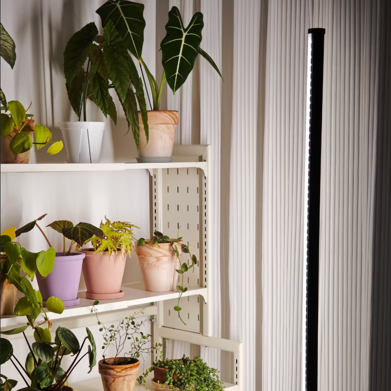 Comparison of LED, HPS, and Fluorescent Grow Lights: Pros and Cons for Home Growers