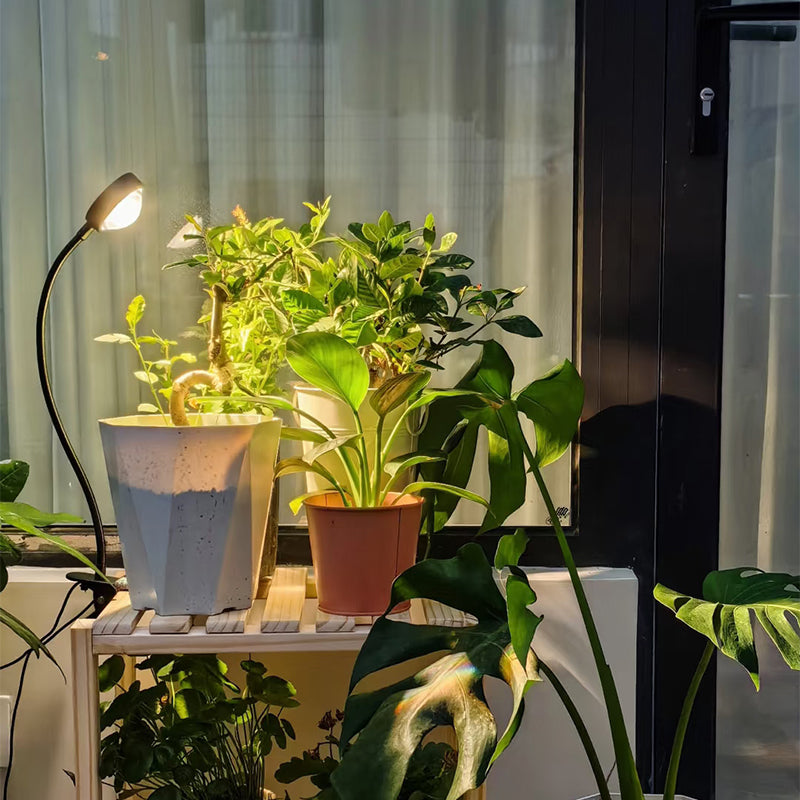 How long should plant grow lights be used for supplemental lighting?