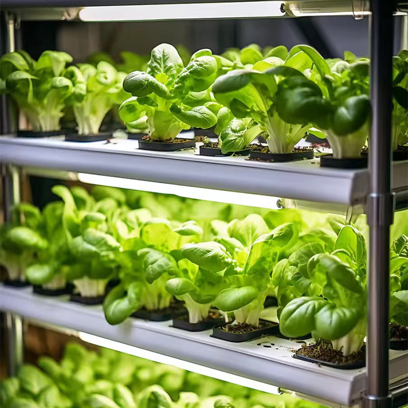 Choosing a Commercial Grow Light? What to Know About PAR and Coverage