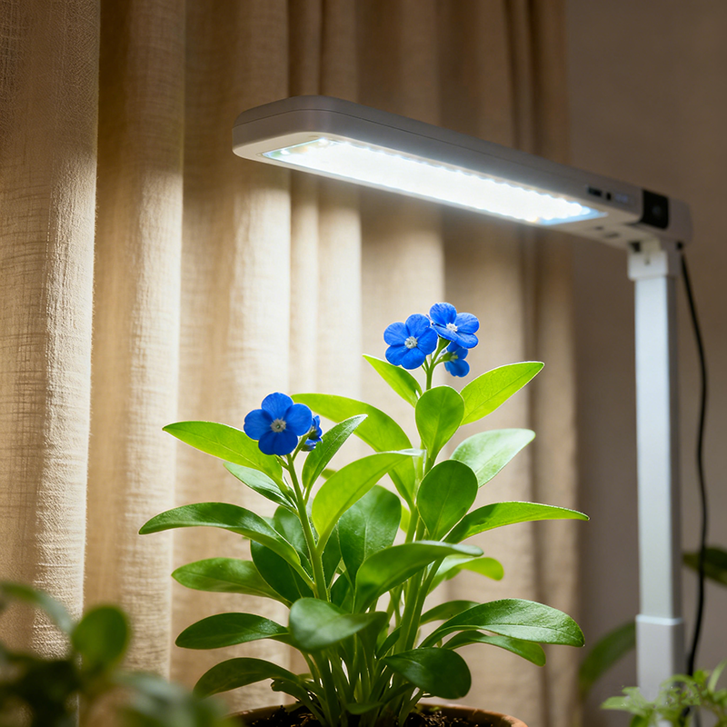 How to Choose the Best Grow Lights for Plants at Every Stage